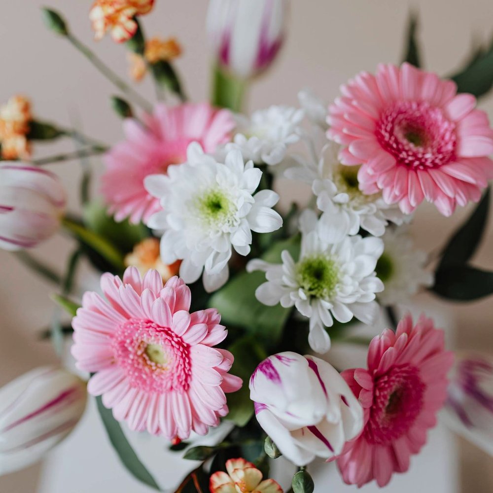 Meet your Posher, Elizabeth